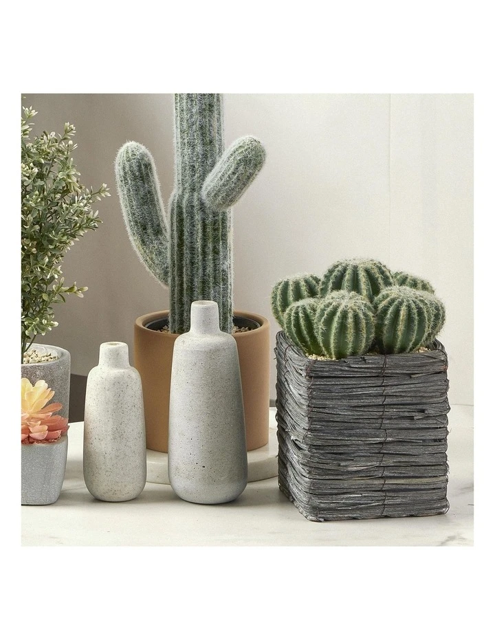 Cooper & Co 25cm Cactus Artificial Plant 2 Cooper & Co 25cm Cactus Artificial Plant - Image 2