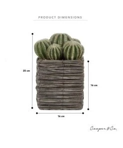 Cooper & Co 25cm Cactus Artificial Plant 7 Cooper & Co 25cm Cactus Artificial Plant -The Shine Nook Sales Store 827668270 3 720x928