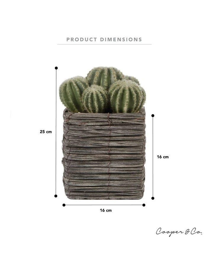 Cooper & Co 25cm Cactus Artificial Plant 3 Cooper & Co 25cm Cactus Artificial Plant - Image 3
