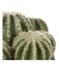Cooper & Co 25cm Cactus Artificial Plant 8 Cooper & Co 25cm Cactus Artificial Plant -The Shine Nook Sales Store 827668270 4 720x928