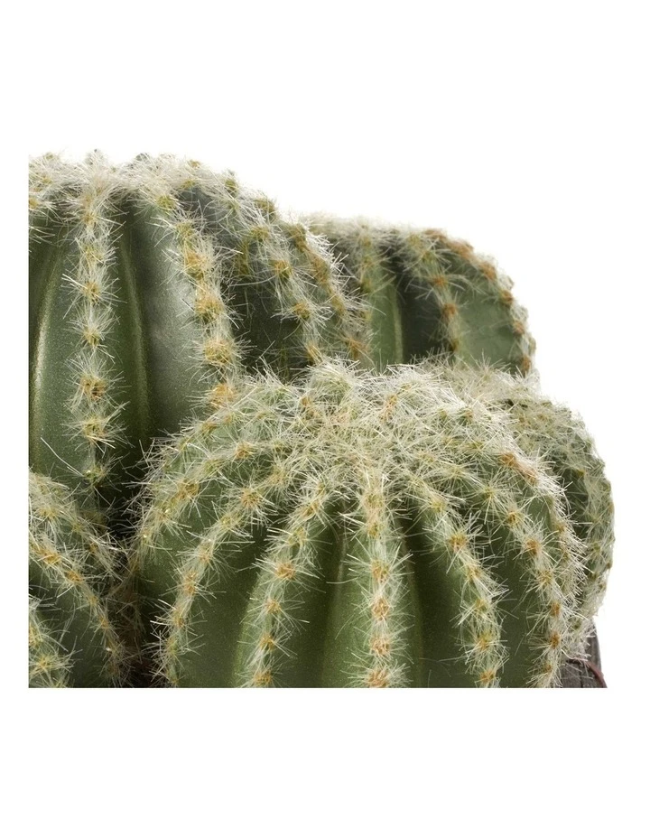 Cooper & Co 25cm Cactus Artificial Plant 4 Cooper & Co 25cm Cactus Artificial Plant - Image 4