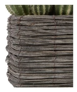 Cooper & Co 25cm Cactus Artificial Plant 9 Cooper & Co 25cm Cactus Artificial Plant -The Shine Nook Sales Store 827668270 5 720x928
