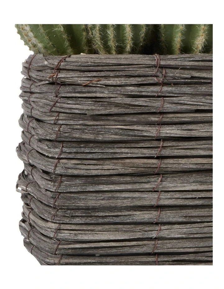 Cooper & Co 25cm Cactus Artificial Plant 5 Cooper & Co 25cm Cactus Artificial Plant - Image 5