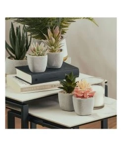 The Shine Nook Sales Store -The Shine Nook Sales Store 827668810 2 720x928