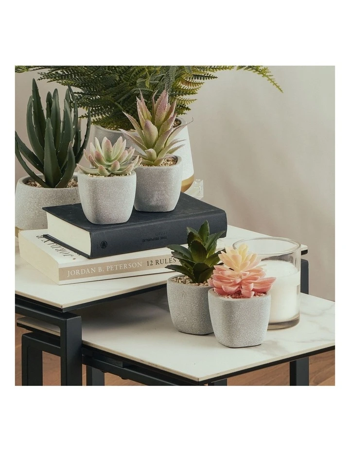 Cooper & Co 16cm Set of 4 Succulents Artificial Plant 2 Cooper & Co 16cm Set of 4 Succulents Artificial Plant - Image 2