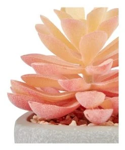 Cooper & Co 16cm Set of 4 Succulents Artificial Plant 8 Cooper & Co 16cm Set of 4 Succulents Artificial Plant -The Shine Nook Sales Store 827668810 3 720x928