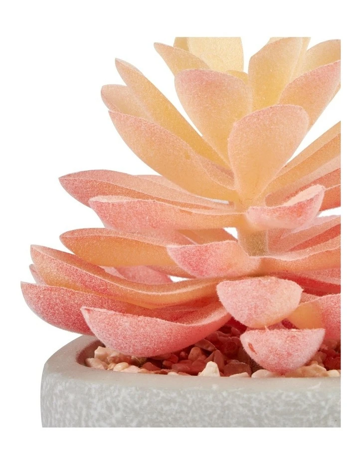 Cooper & Co 16cm Set of 4 Succulents Artificial Plant 3 Cooper & Co 16cm Set of 4 Succulents Artificial Plant - Image 3