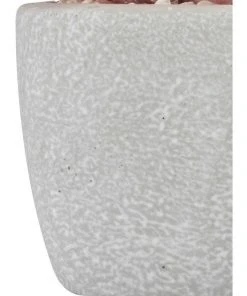 Cooper & Co 16cm Set of 4 Succulents Artificial Plant 10 Cooper & Co 16cm Set of 4 Succulents Artificial Plant -The Shine Nook Sales Store 827668810 5 720x928