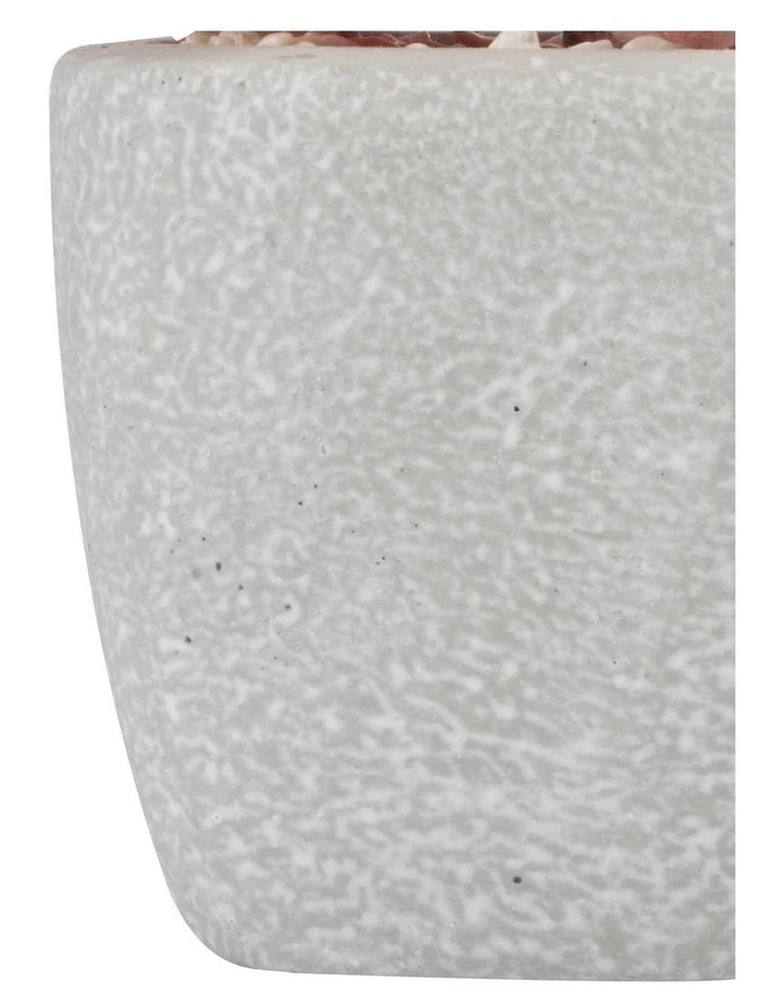 Cooper & Co 16cm Set of 4 Succulents Artificial Plant 5 Cooper & Co 16cm Set of 4 Succulents Artificial Plant - Image 5