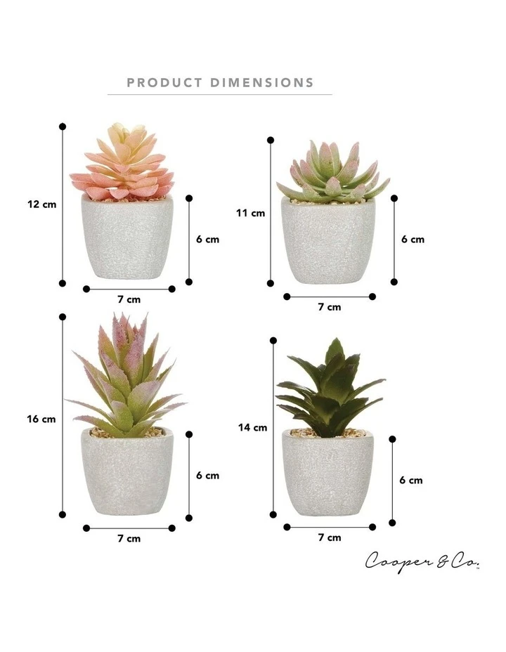 Cooper & Co 16cm Set of 4 Succulents Artificial Plant 6 Cooper & Co 16cm Set of 4 Succulents Artificial Plant - Image 6