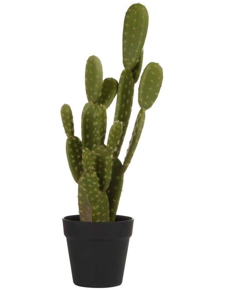 Cooper & Co 55cm Pricky Pear Artificial Plant 1 Cooper & Co 55cm Pricky Pear Artificial Plant