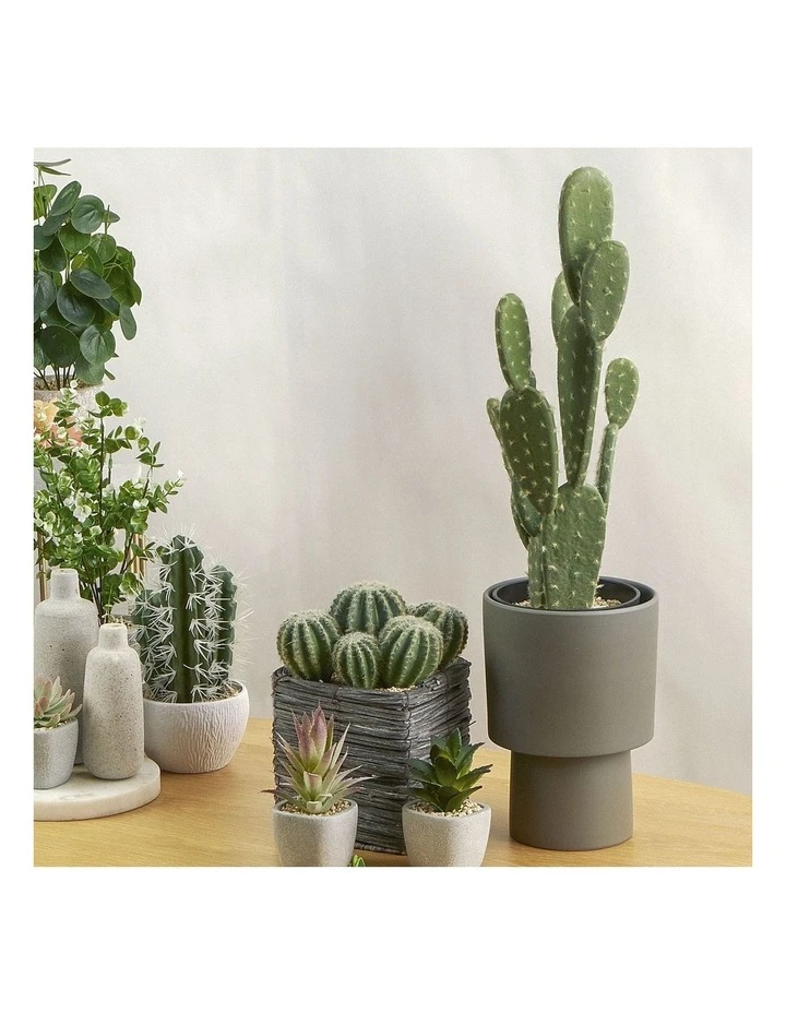 Cooper & Co 55cm Pricky Pear Artificial Plant 2 Cooper & Co 55cm Pricky Pear Artificial Plant - Image 2