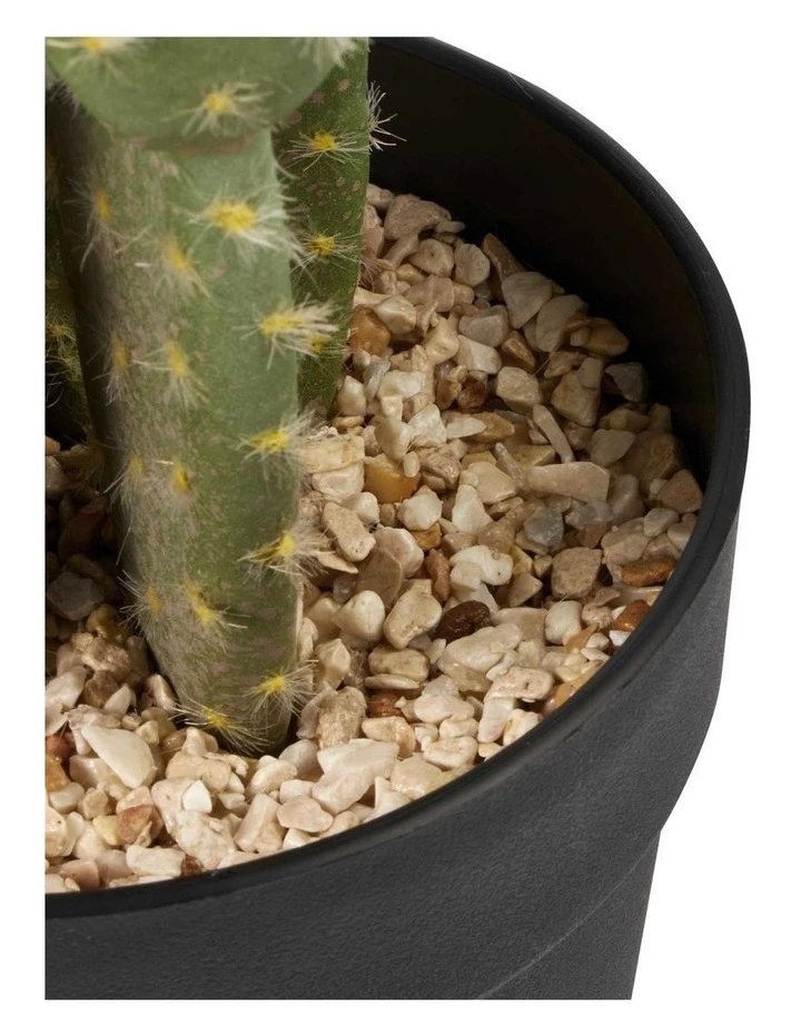 Cooper & Co 55cm Pricky Pear Artificial Plant 4 Cooper & Co 55cm Pricky Pear Artificial Plant - Image 4