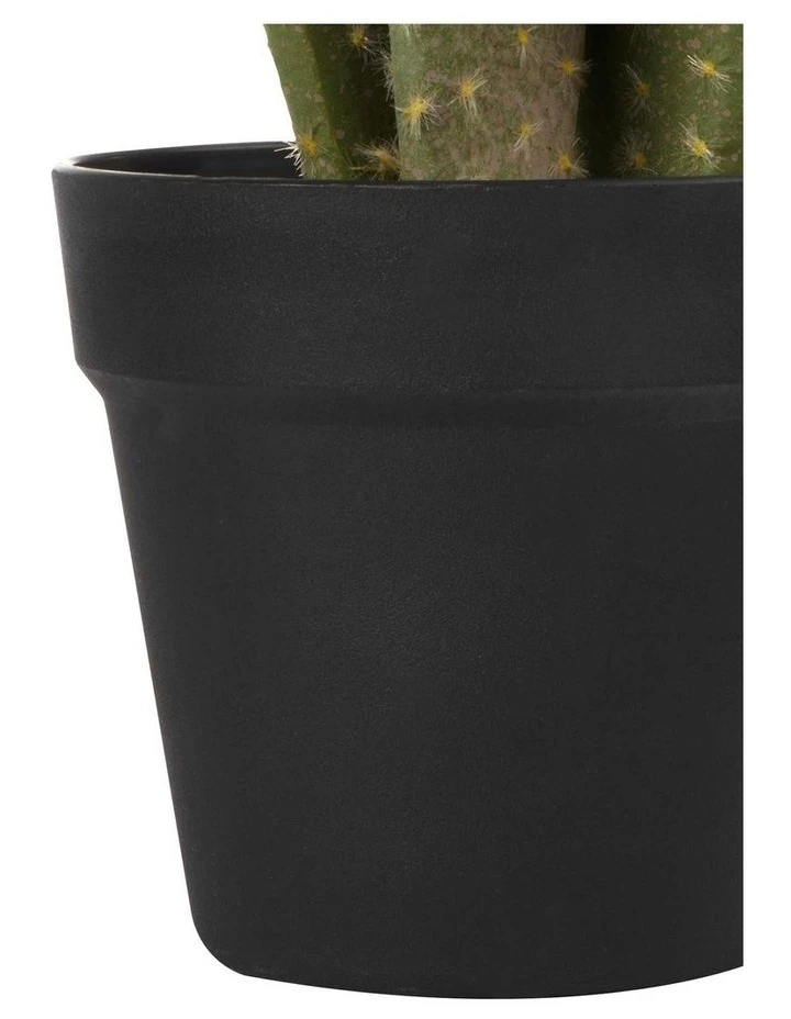 Cooper & Co 55cm Pricky Pear Artificial Plant 5 Cooper & Co 55cm Pricky Pear Artificial Plant - Image 5