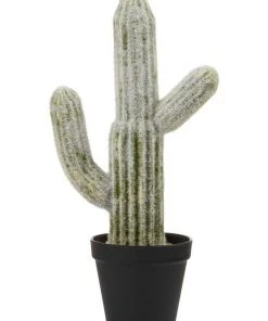 Cooper & Co 41cm Mexican Cactus Artificial Plant
