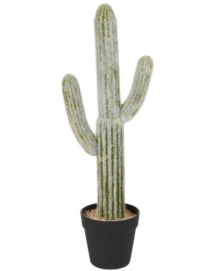 Cooper & Co 61cm Mexican Cactus Artificial Plant 1 Cooper & Co 61cm Mexican Cactus Artificial Plant