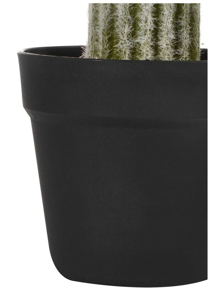 Cooper & Co 61cm Mexican Cactus Artificial Plant 3 Cooper & Co 61cm Mexican Cactus Artificial Plant - Image 3