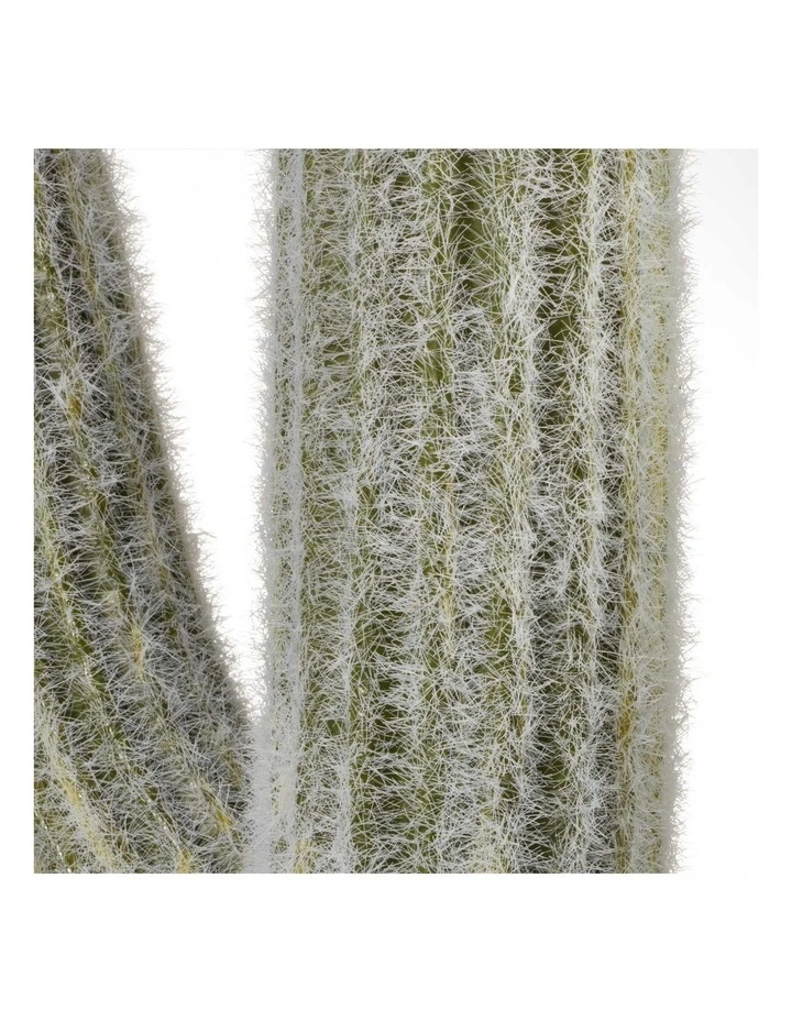 Cooper & Co 61cm Mexican Cactus Artificial Plant 5 Cooper & Co 61cm Mexican Cactus Artificial Plant - Image 5