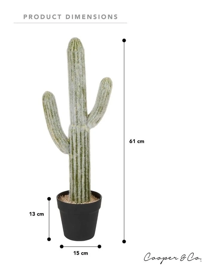 Cooper & Co 61cm Mexican Cactus Artificial Plant 6 Cooper & Co 61cm Mexican Cactus Artificial Plant - Image 6
