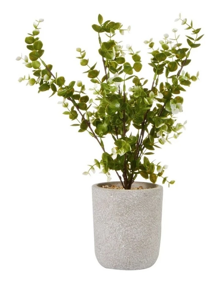 Cooper & Co 40cm Zanzibar Artificial Plant 1 Cooper & Co 40cm Zanzibar Artificial Plant