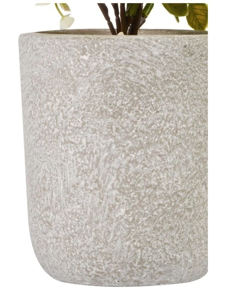 Cooper & Co 40cm Zanzibar Artificial Plant 3 Cooper & Co 40cm Zanzibar Artificial Plant - Image 3