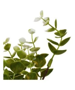 Cooper & Co 40cm Zanzibar Artificial Plant 10 Cooper & Co 40cm Zanzibar Artificial Plant -The Shine Nook Sales Store 827669260 5 720x928