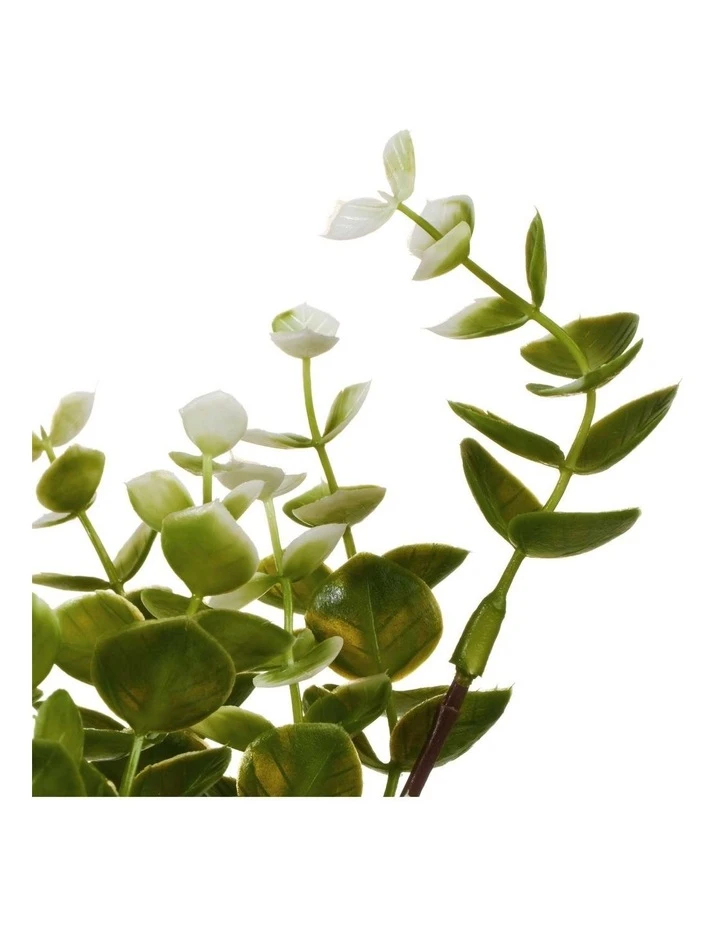 Cooper & Co 40cm Zanzibar Artificial Plant 5 Cooper & Co 40cm Zanzibar Artificial Plant - Image 5