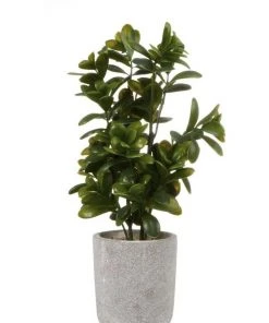 Cooper & Co 40cm Sweet Plum Artificial Plant
