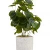 Cooper & Co 40cm Money Bag Artificial Plant