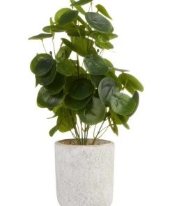 Cooper & Co 40cm Money Bag Artificial Plant
