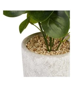 Cooper & Co 40cm Money Bag Artificial Plant -The Shine Nook Sales Store 827669440 3 720x928
