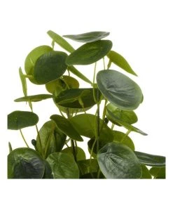 Cooper & Co 40cm Money Bag Artificial Plant -The Shine Nook Sales Store 827669440 4 720x928