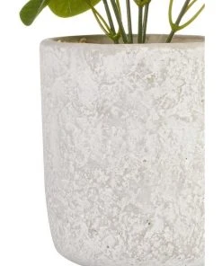 Cooper & Co 40cm Money Bag Artificial Plant -The Shine Nook Sales Store 827669440 5 720x928