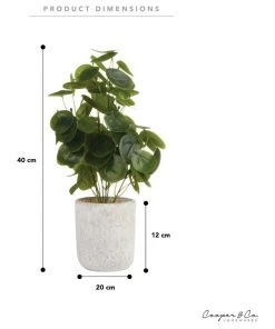 Cooper & Co 40cm Money Bag Artificial Plant -The Shine Nook Sales Store 827669440 6 720x928