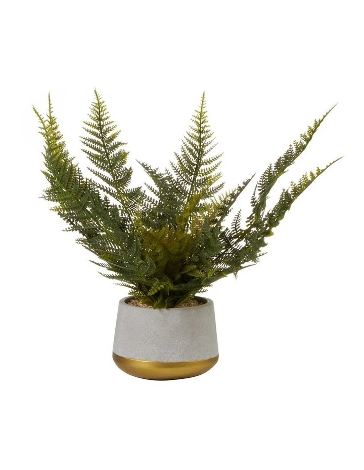 Cooper & Co 40cm Fern Artificial Plant 1 Cooper & Co 40cm Fern Artificial Plant