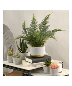 The Shine Nook Sales Store -The Shine Nook Sales Store 827669530 2 720x928