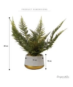 Cooper & Co 40cm Fern Artificial Plant 11 Cooper & Co 40cm Fern Artificial Plant -The Shine Nook Sales Store 827669530 6 720x928