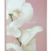Profile Kyoto Slip-in Slip-in 4x6 300 Photo Capacity Photo Album Pink