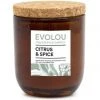 Salt&Pepper Evolou Candle Citrus & Spice 175g