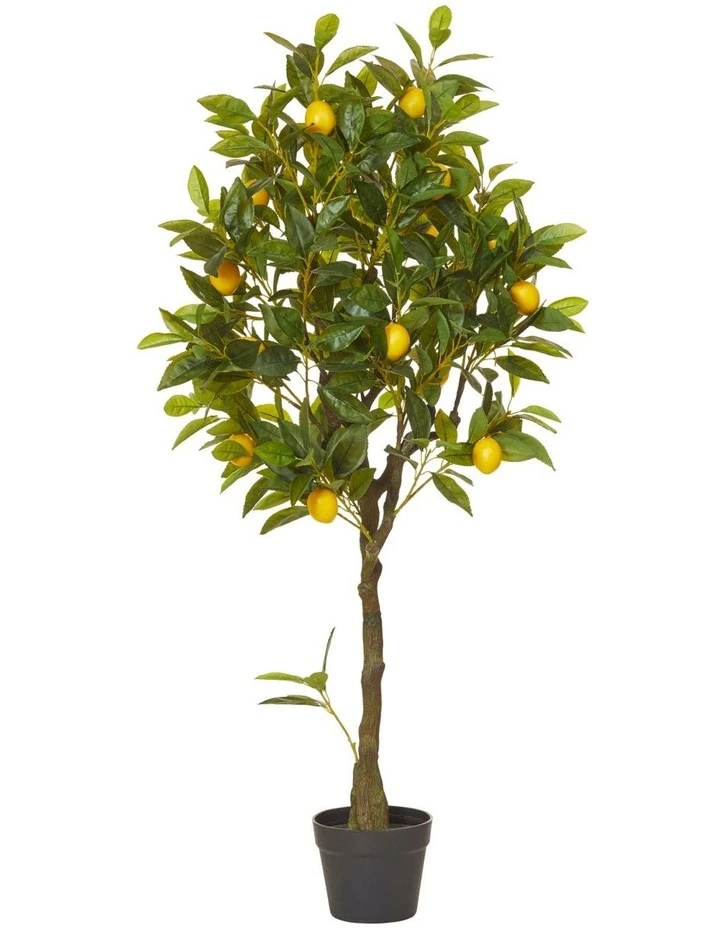 Rogue Lemon Artificial Tree 122cm 1 Rogue Lemon Artificial Tree 122cm