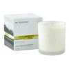 In Essence Wanderlust Lime, Basil & Mandarin Candle