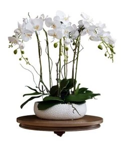 Vicky Yao Real Touch PEVA 6 stems White Phalaenopsis Arrangement in White pot