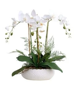 Vicky Yao Real Touch PEVA 3 stems White Phalaenopsis Arrangement in White pot