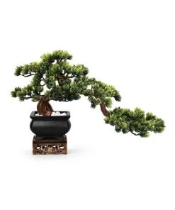 Vicky Yao Artificial Bonsai in Black Pot with Real Tree Trunk