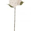 Rogue Dried look Hydrangea Stem 26x23x66cm