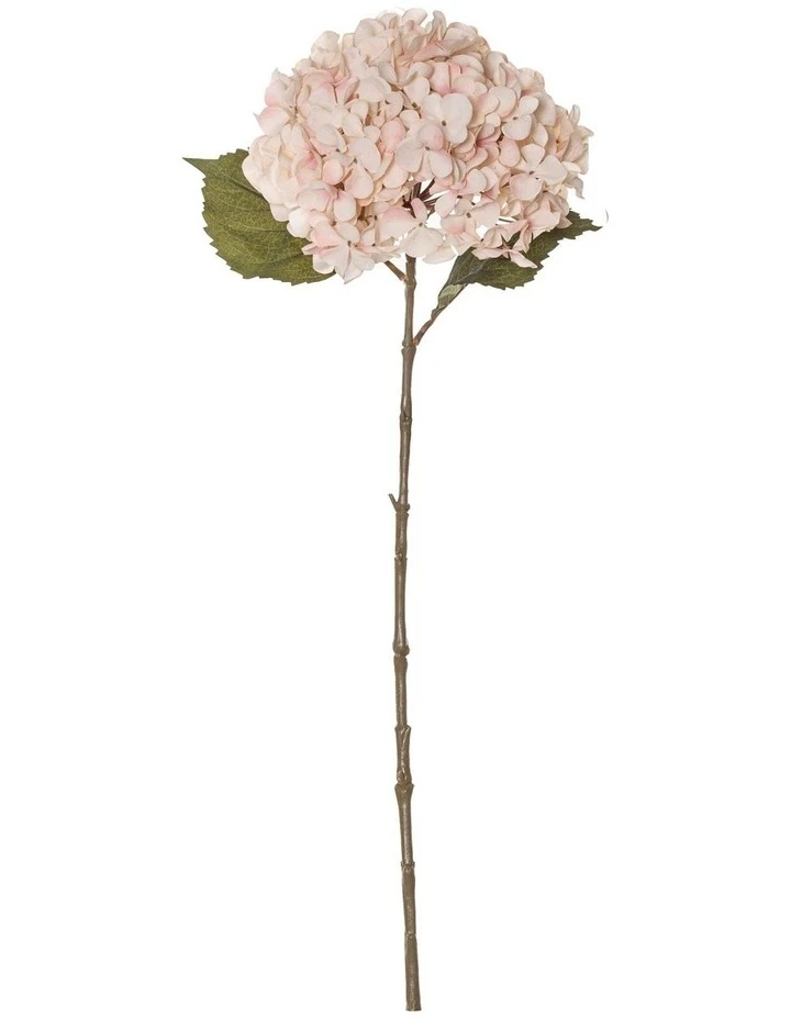 Rogue Dried look Hydrangea Stem 26x23x66cm 1 Rogue Dried look Hydrangea Stem 26x23x66cm