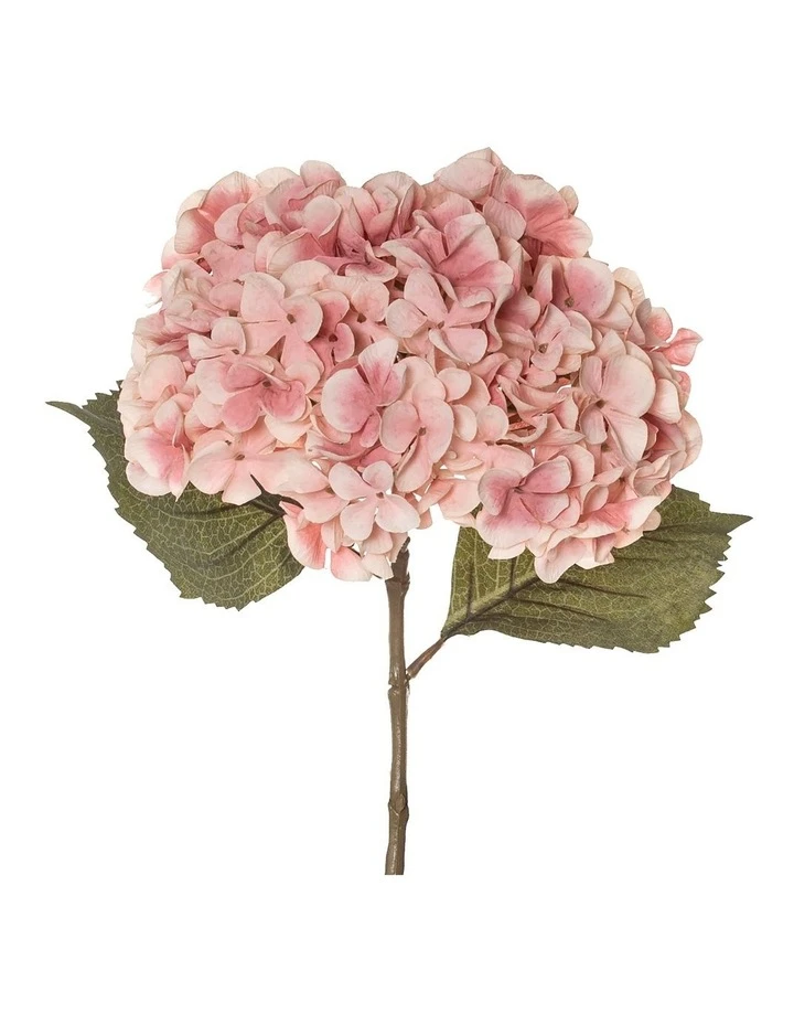 Rogue Dried look Hydrangea Stem 26x23x66cm 2 Rogue Dried look Hydrangea Stem 26x23x66cm - Image 2