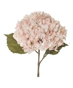 Rogue Dried look Hydrangea Stem 26x23x66cm 5 Rogue Dried look Hydrangea Stem 26x23x66cm -The Shine Nook Sales Store 839696680 3 720x928