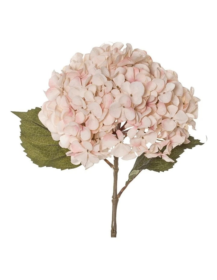 Rogue Dried look Hydrangea Stem 26x23x66cm 3 Rogue Dried look Hydrangea Stem 26x23x66cm - Image 3