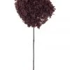 Rogue Preserved Anna Hydrangea Burgundy 60x20x20cm